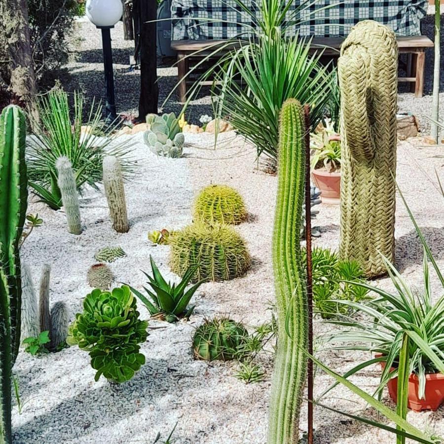 Petit Paradis Daire Sidi Bibi Dış mekan fotoğraf
